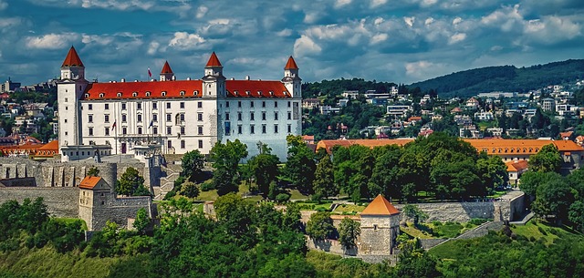 pohľad na Bratislavu.jpg